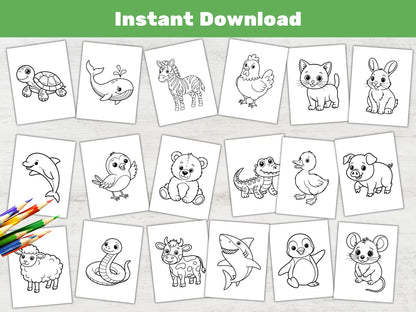 Animal Coloring Book for Kids, Easy Toddler Activity Pages, Preschool Coloring Printable (PDF)